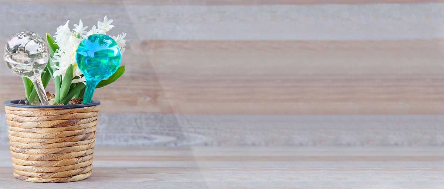 logresy plant watering globes