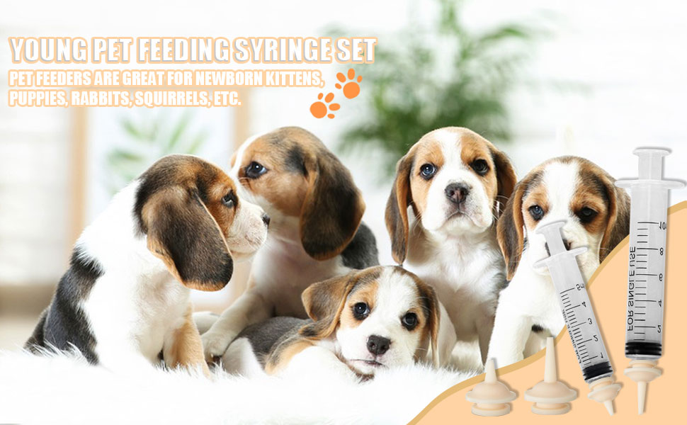 Pet Feeding Syringe 