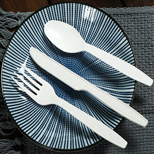Disposable Knives