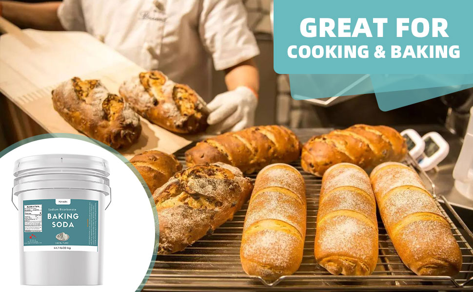 Sodium Bicarbonate Powder