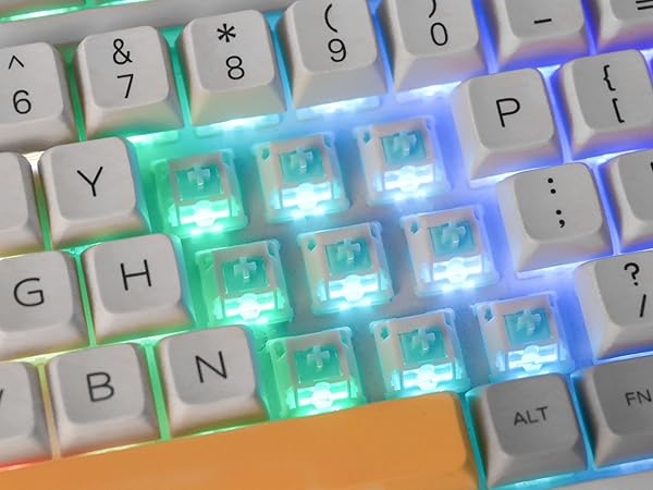 キーボード Epomaker Jade Blossom switch 43gf 30x3 EPOMAKER Jade Blossom Switch Set