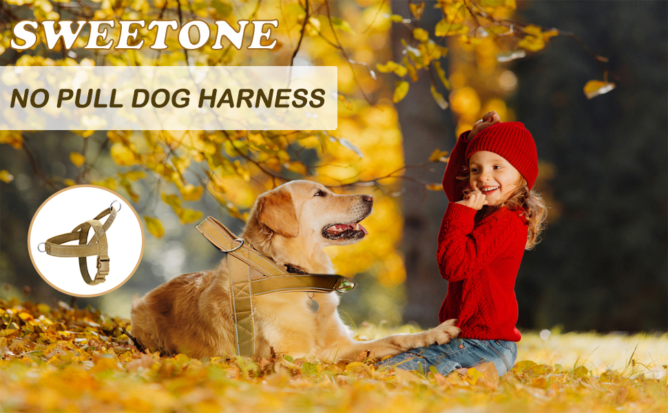 dog harness
