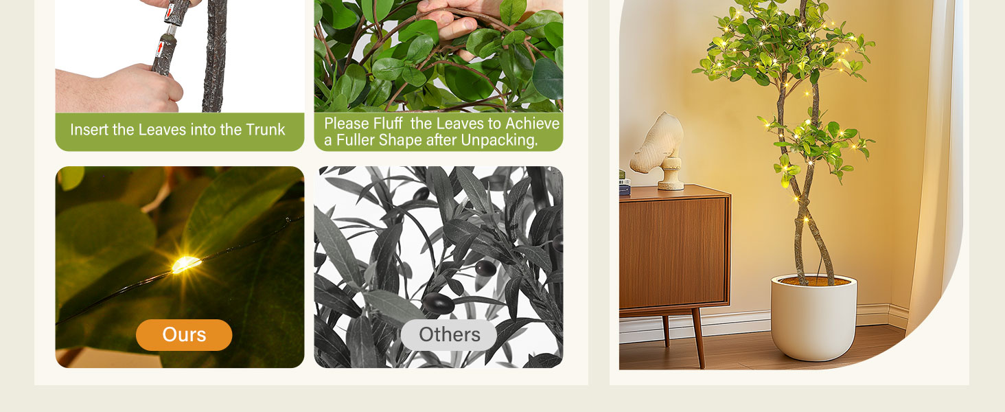 olive tree