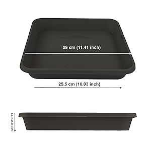 size 3