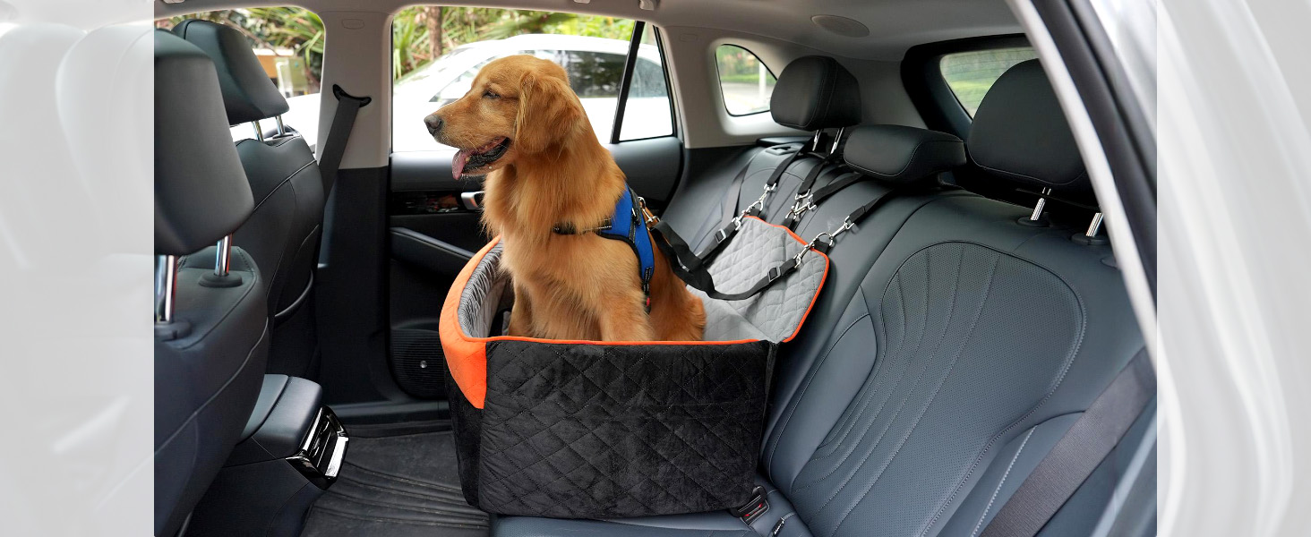 dog car seat