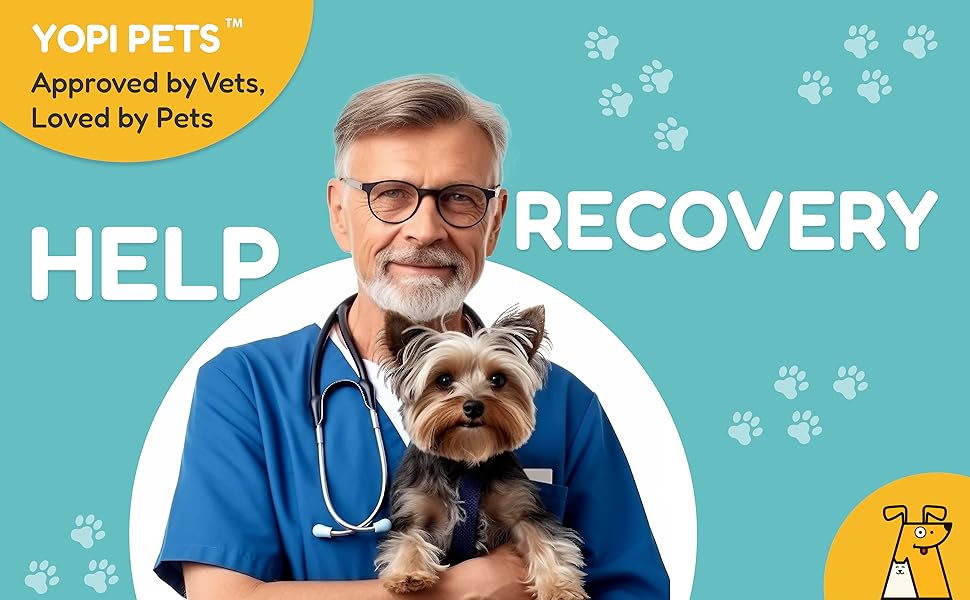 YOPI PETS Dog Donut Collar, Inflatable Dog Cone