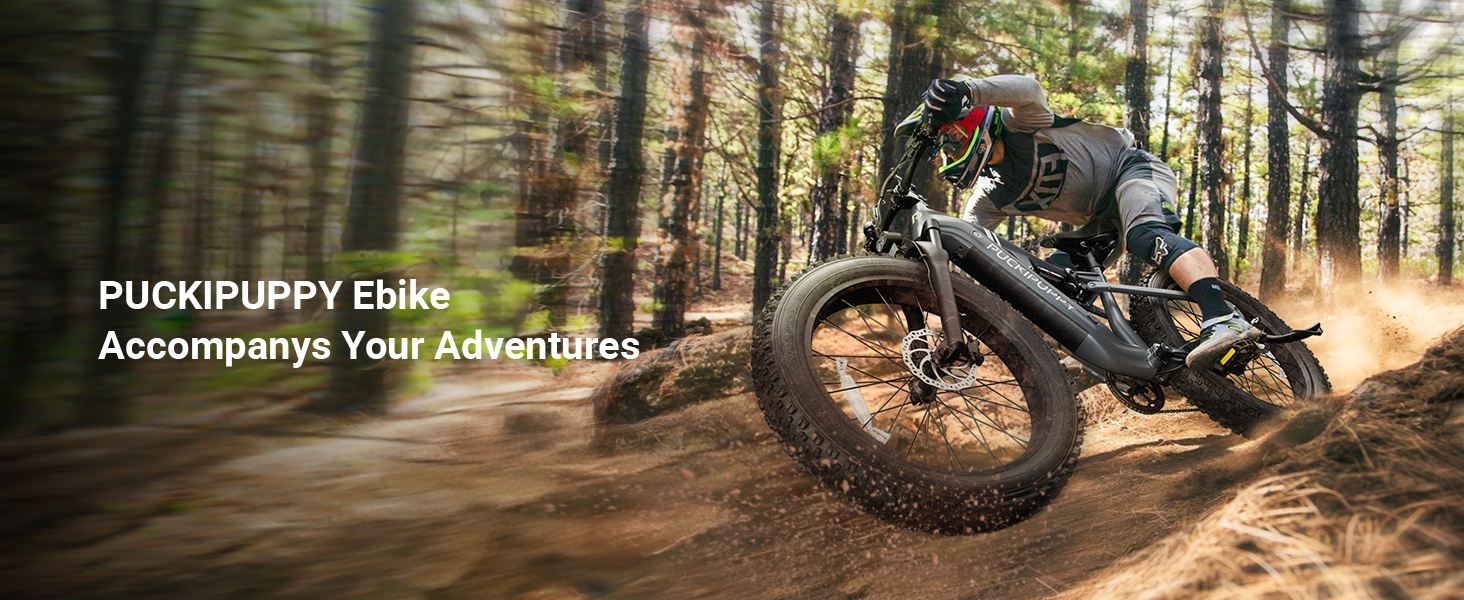 Electric Bike for Adults, 1350W Peak, 48V 20AH Battery | 26" Fat Tire | Full Suspension | Electric Mountain Bike | 80 Miles Range | 28 MPH | 8 Speed | Torque Sensor | Labrador Pro