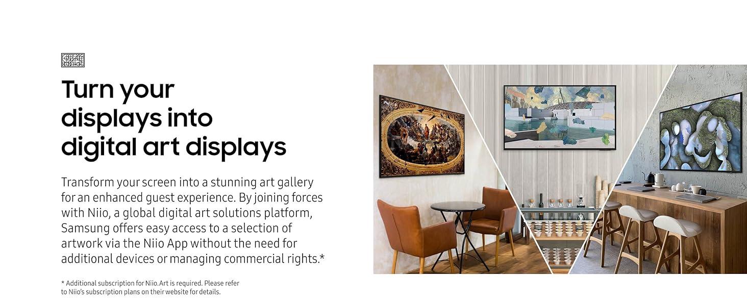 BEFX-H Series Business Pro TV