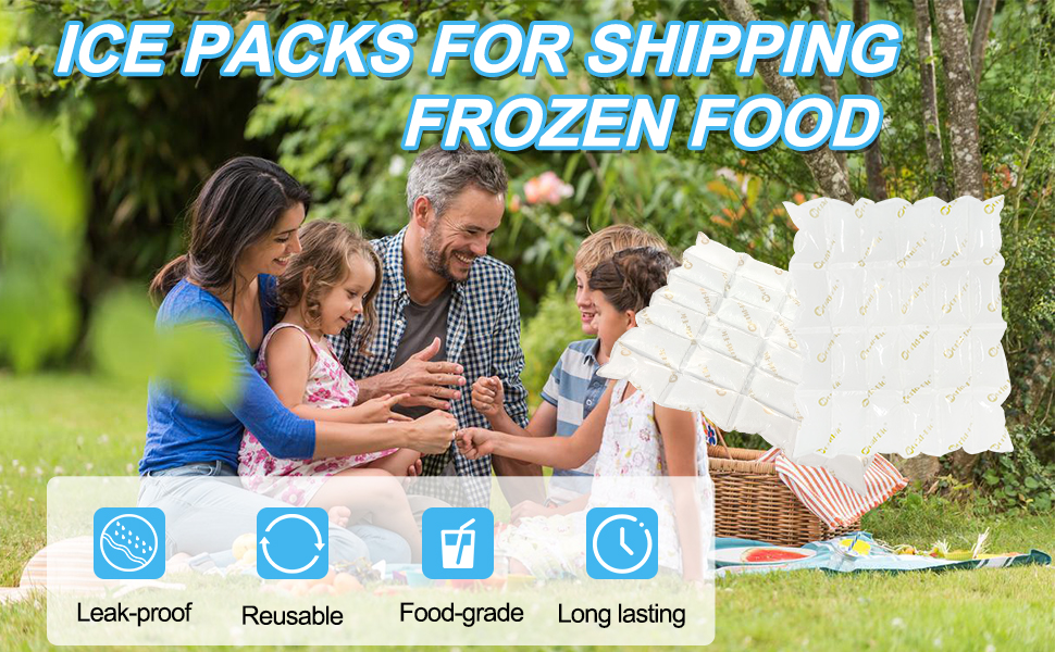 Dry Ice for Shipping Frozen Food, Long Lasting Ice Packs