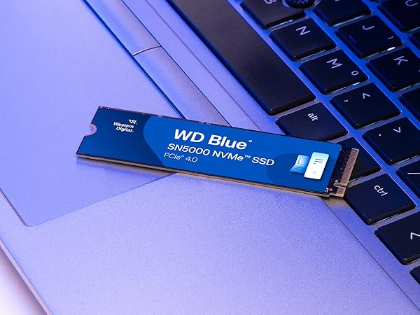 4tb SSD WD Blue SN5000 NVMeケース付き WD Blue SN5000 SSD 4TB, M.2 2280 NVMe SSD Interno, PCIe Gen4