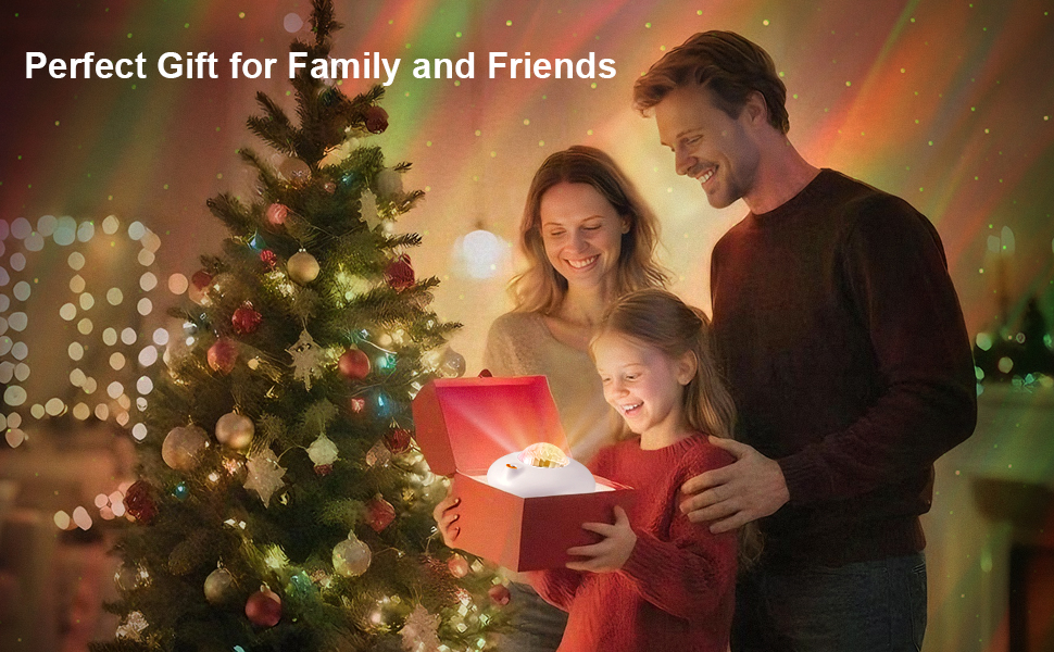 Northern Galaxy Light Aurora