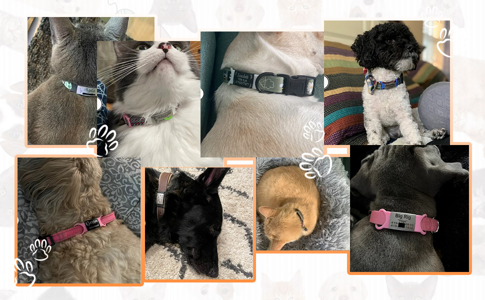 HiPeep Dog Tags Personalized Pets ID Tag Engraved Slide on