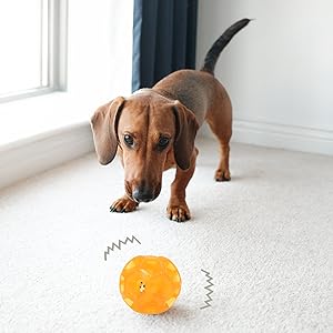 squeaky dog ball aggressive chewer,stimulating dog toy small,puppy toy ball,rolling dog ball