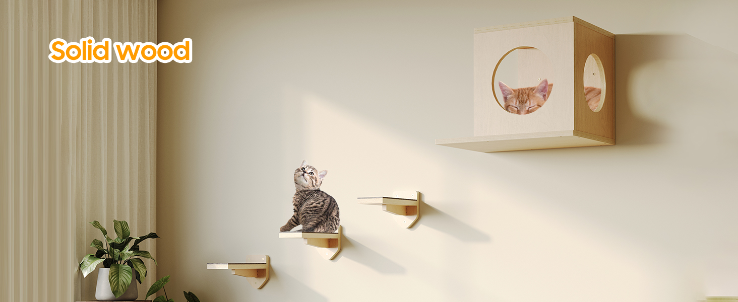 Cat Wall Shelves