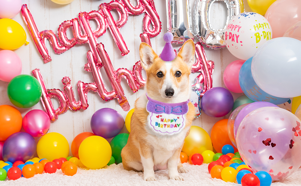 Hund-Geburtstags-Bandana