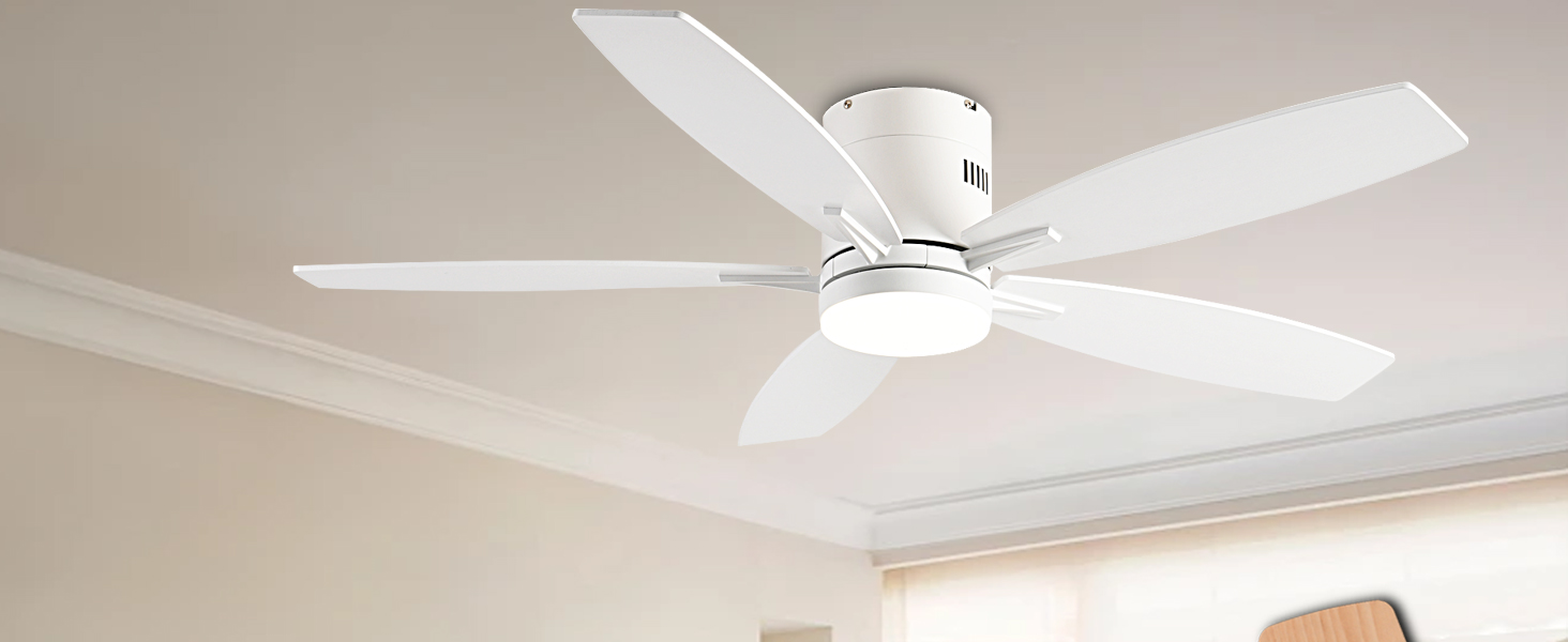 ceiling fans with lights