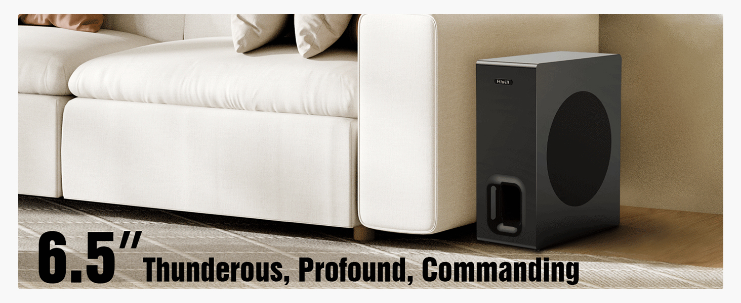 6.5-inch subwoofer
