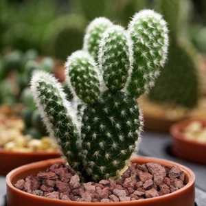 Small manufacture image 2