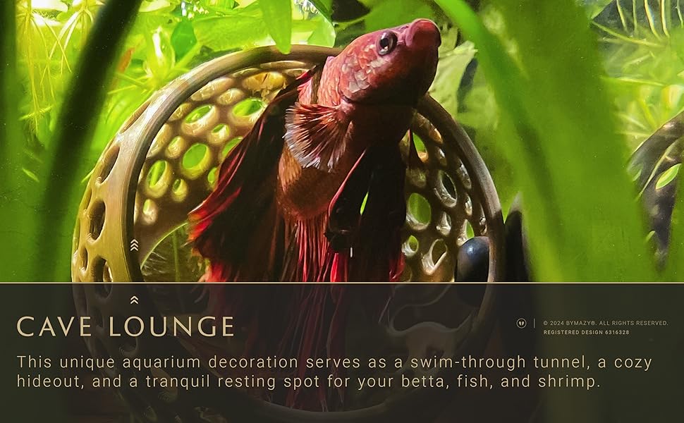 Aquarium decoration, swim-through tunnel, hideout, resting spot for betta fish shrimp.
