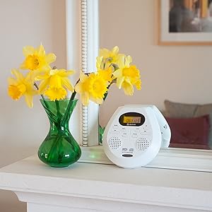 CD player mains power