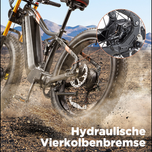 Hydraulische Vierkolbenbremse