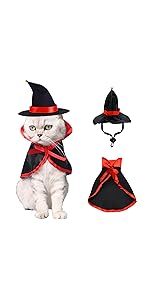 pet halloween cosplay