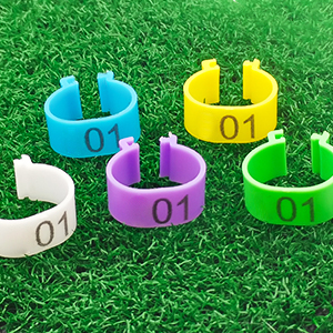 Small manufacture image 4