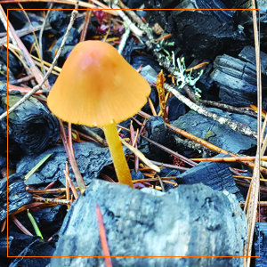 Small manufacture image 3