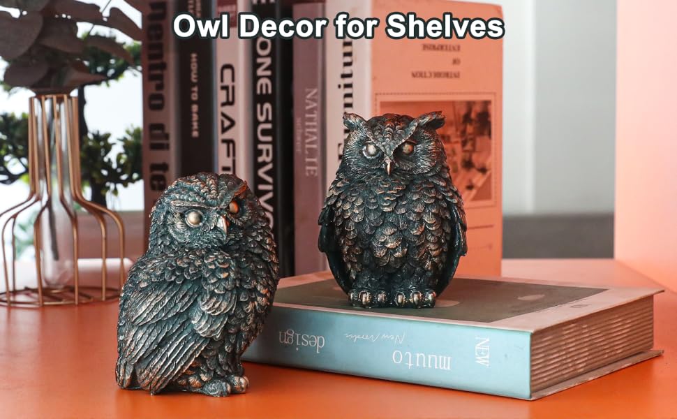 decor for shelves