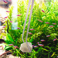 aquarium tweezers, coral food, fish accessories, aqua essentials, tweezer kit