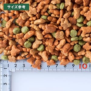 ドッグフード m コンボ ドッグ もっちり 低脂肪 600g（100g×6袋入