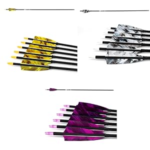 carbon arrows 400 spine
