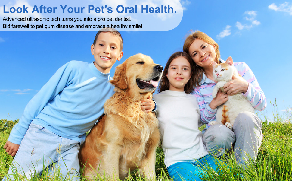 Healthy Smile   Happy Life