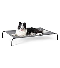 elevated dog bed