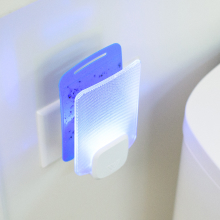 bugs captured on the trap