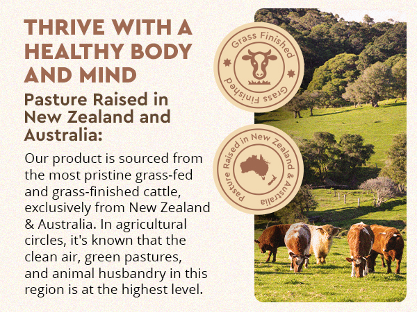 liver supplements for women dessicated liver supplement beef liver vitamins beef organ complex