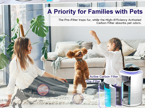 hepa air purifiers for home