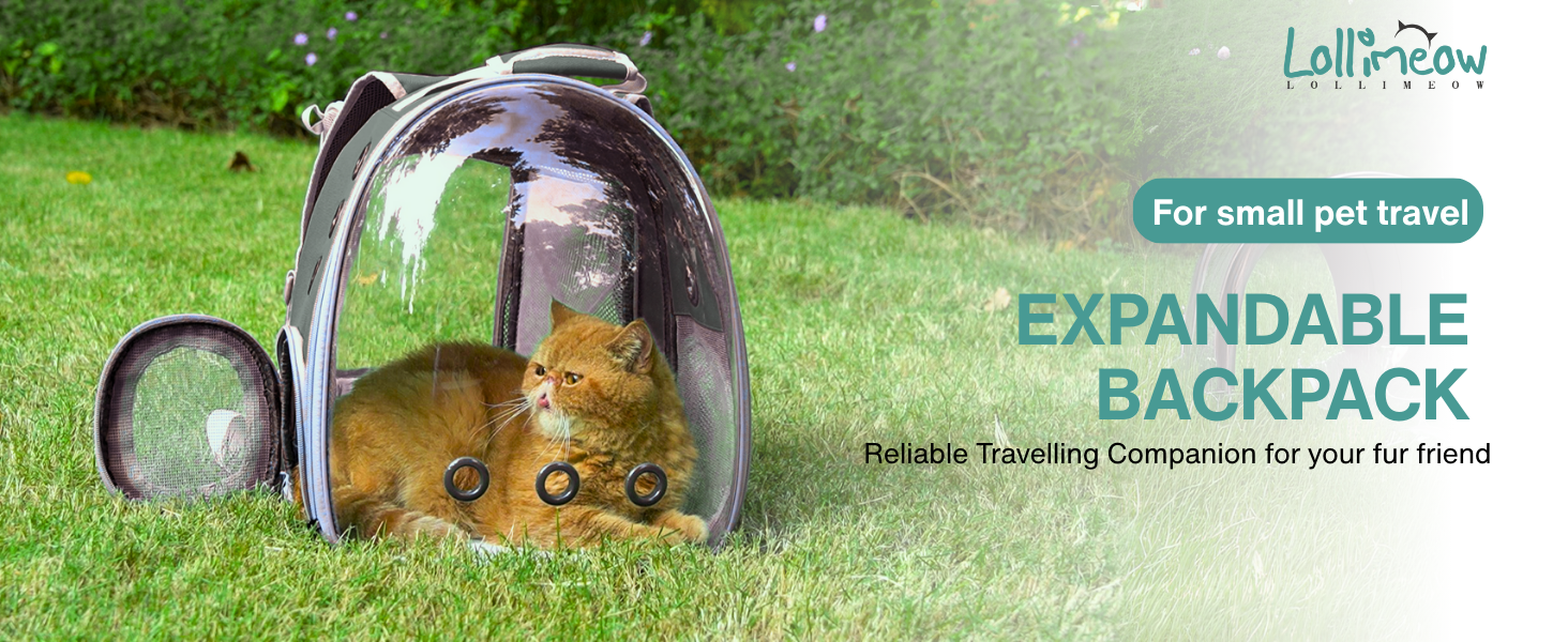 cat backpack expandable black