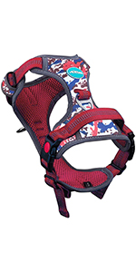 Dog Harness 6