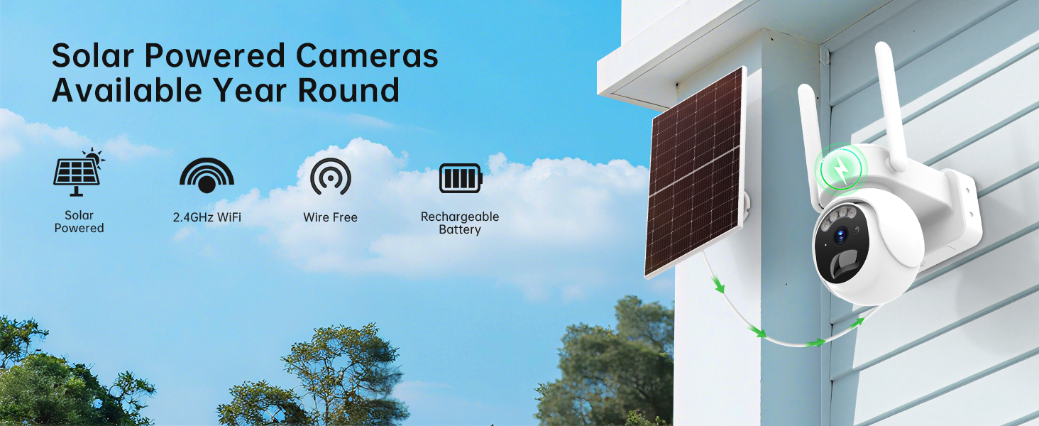 surveillance & security cameras