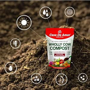 Small manufacture image 2