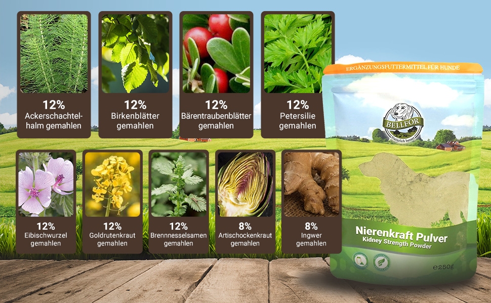 Nahrungsergänzung für Hunde - Nierenkraft von Bellfor Hundefutter - Pulver