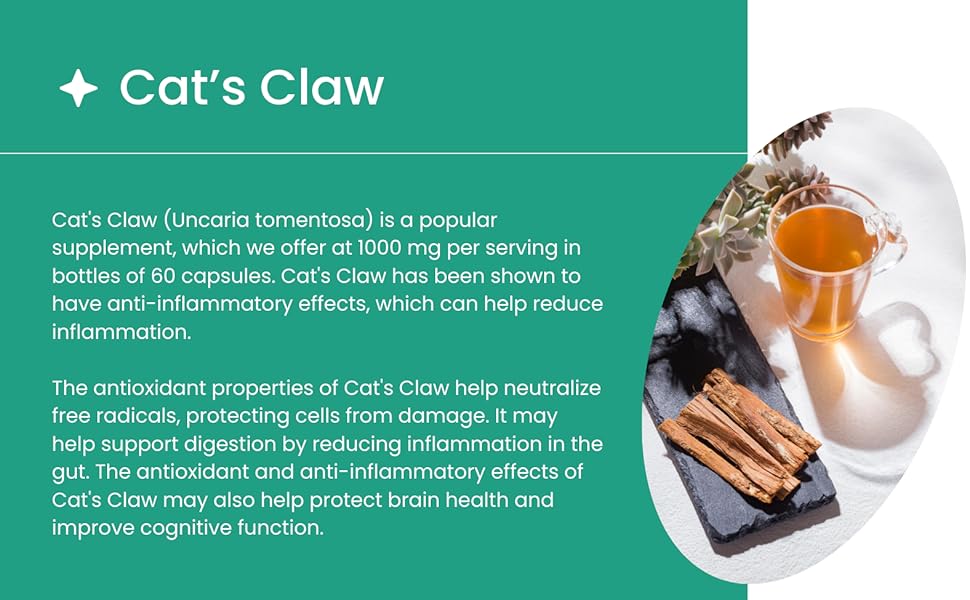 Cat's Claw Benefits