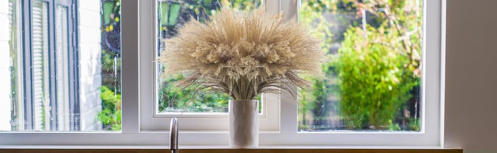 dried pampas grass