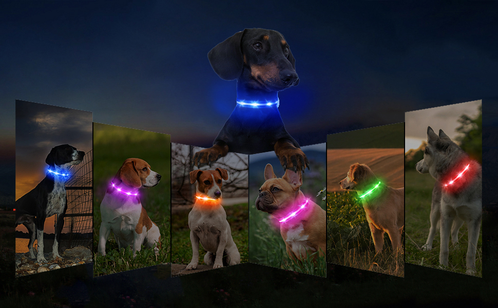 MASBRILL LED Dog Collar Light Up Dog Collars