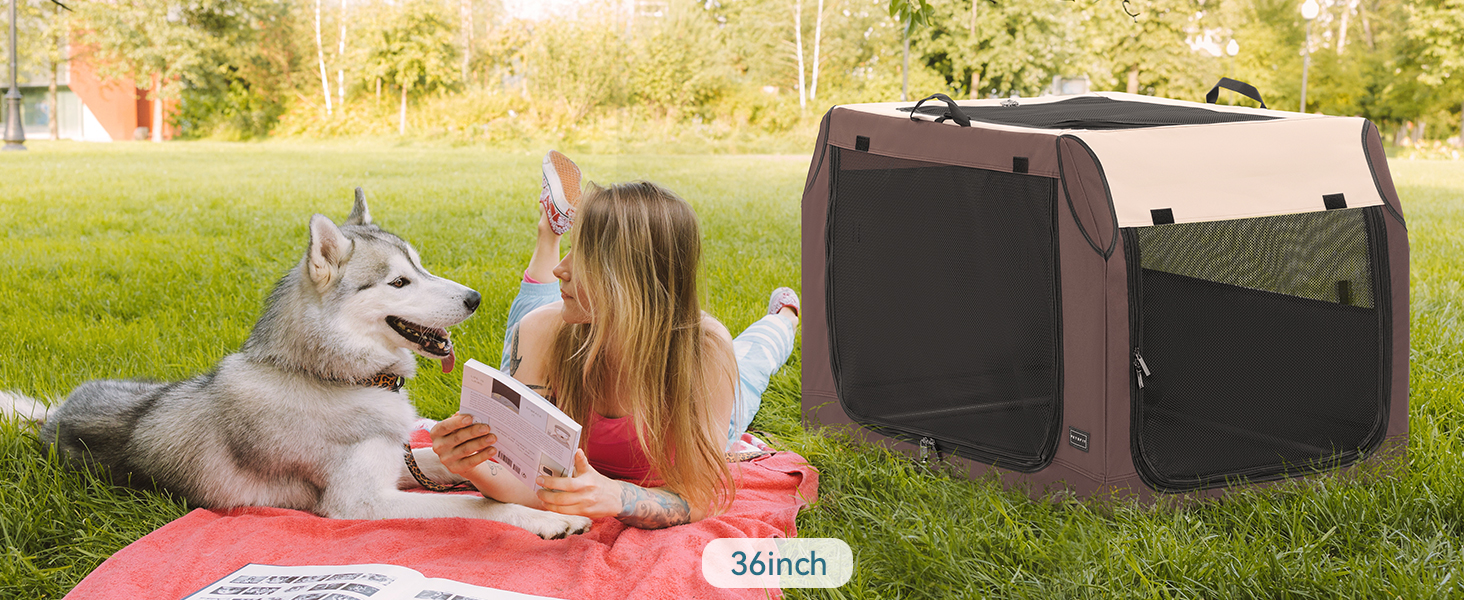 Petsfit Dog Car Crate, Portable Dog Travel Crate for Car,Lightweight