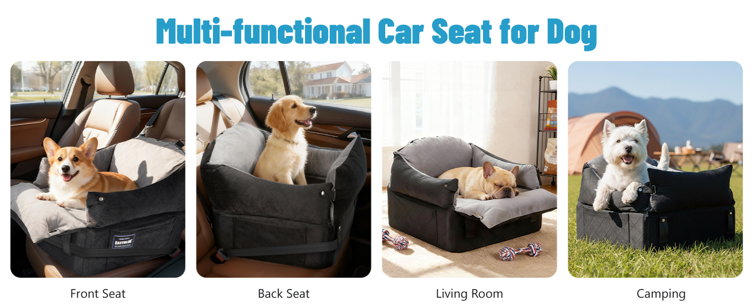 car seat for dogs