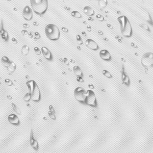 detail1
