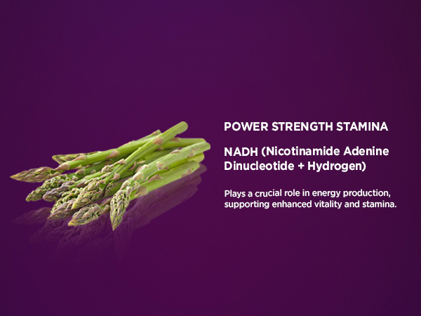 livingood daily energy support endurance immune booster adrenal men women focus