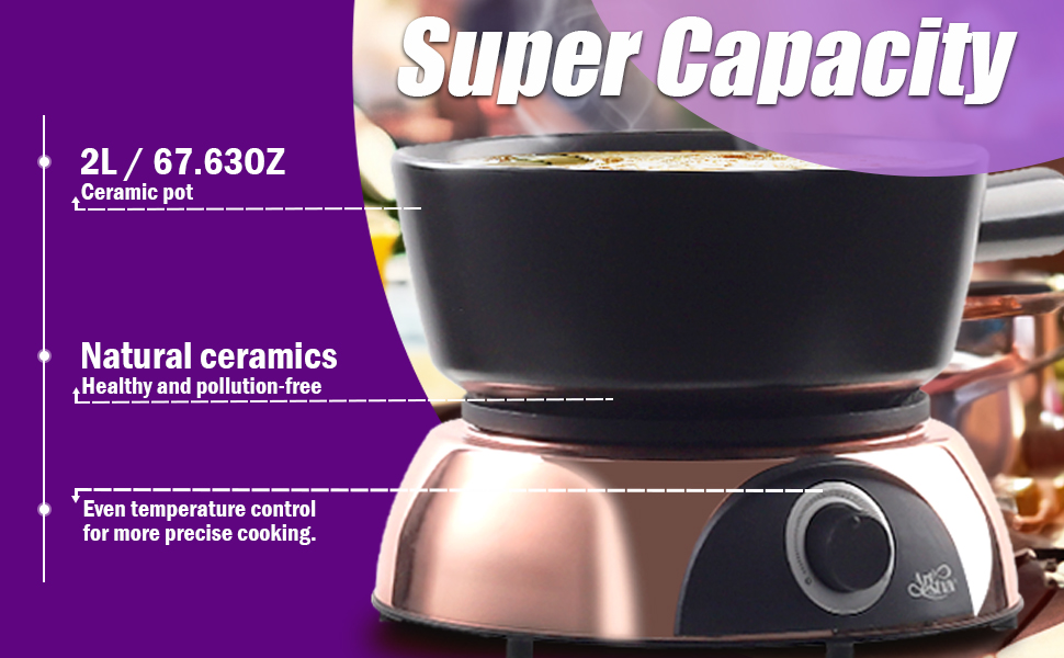 eclectric fondue maker
